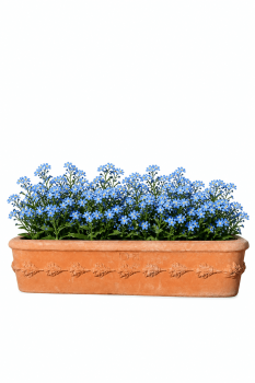 Preview: Ovaler Balkonkasten aus Impruneta Terracotta – handgefertigt und frostfest